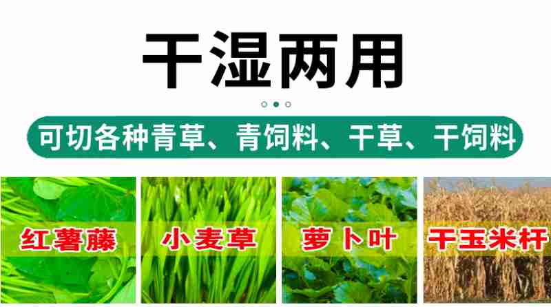 中工网评论员 李嘉宇